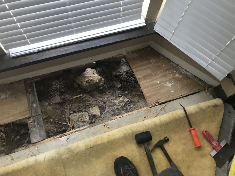 Plywood Subfloor Repair in Kansas City, KS