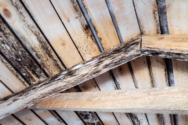Roof Joist Repair in Wilmington, NC